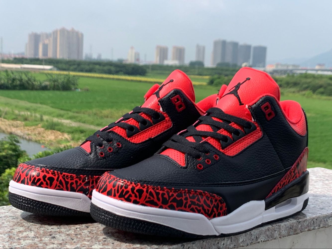 2019 Air Jordan 3 Retro Bred Shoes